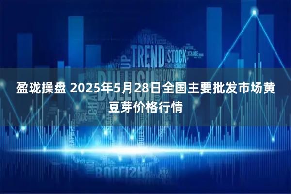 盈珑操盘 2025年5月28日全国主要批发市场黄豆芽价格行情
