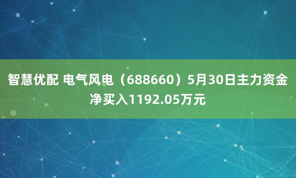 智慧优配 电气风电（688660）5月30日主力资金净买入1192.05万元
