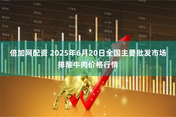 倍加网配资 2025年6月20日全国主要批发市场排酸牛肉价格行情