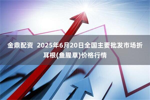 金鼎配资  2025年6月20日全国主要批发市场折耳根(鱼腥草)价格行情