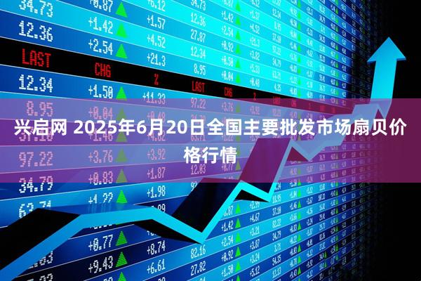 兴启网 2025年6月20日全国主要批发市场扇贝价格行情