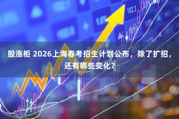 股涨柜 2026上海春考招生计划公布，除了扩招，还有哪些变化？