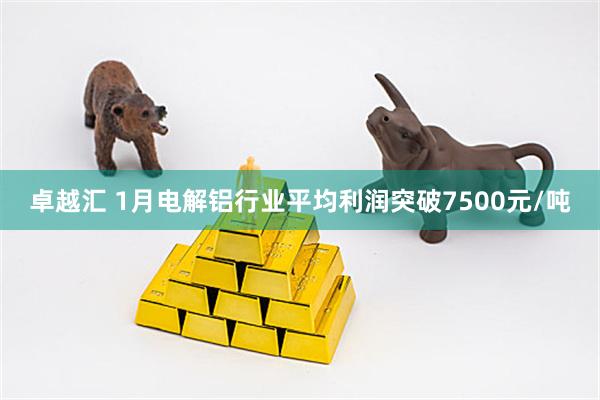 卓越汇 1月电解铝行业平均利润突破7500元/吨