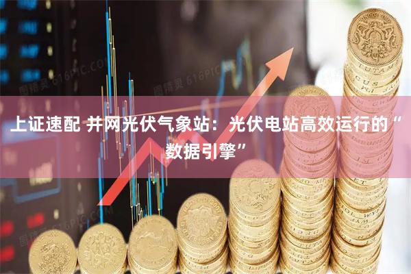 上证速配 并网光伏气象站：光伏电站高效运行的“数据引擎”