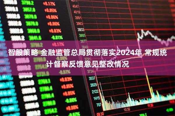 智股策略 金融监管总局贯彻落实2024年 常规统计督察反馈意见整改情况