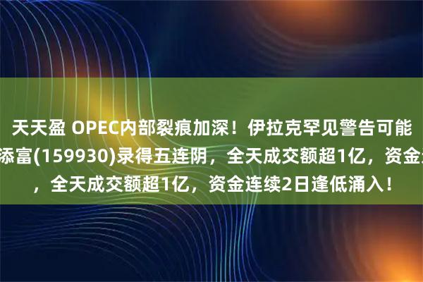 天天盈 OPEC内部裂痕加深！伊拉克罕见警告可能退群，能源ETF汇添富(159930)录得五连阴，全天成交额超1亿，资金连续2日逢低涌入！