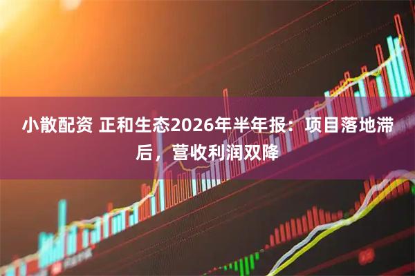 小散配资 正和生态2026年半年报：项目落地滞后，营收利润双降