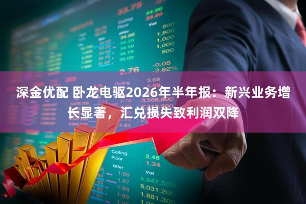 深金优配 卧龙电驱2026年半年报：新兴业务增长显著，汇兑损失致利润双降